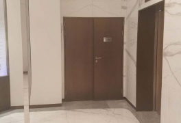鋼質绿巨人成人导航